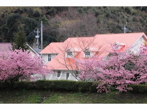 Pension Hidamari南伊豆町 エクステリア 写真