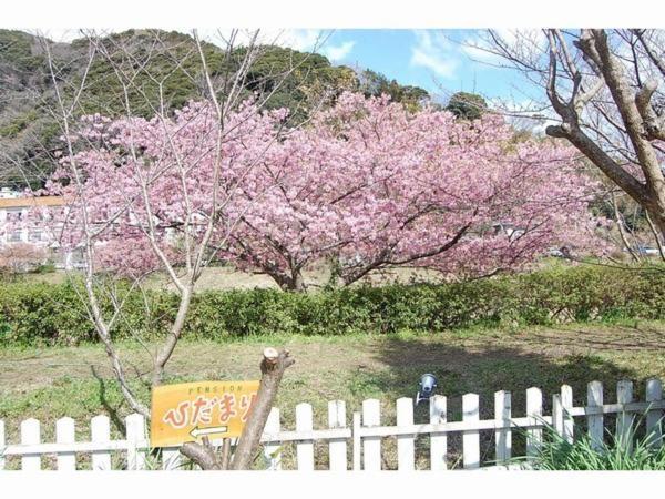 Pension Hidamari南伊豆町 エクステリア 写真
